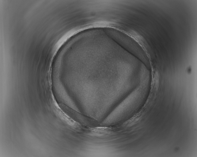 X0000115321342200911301550