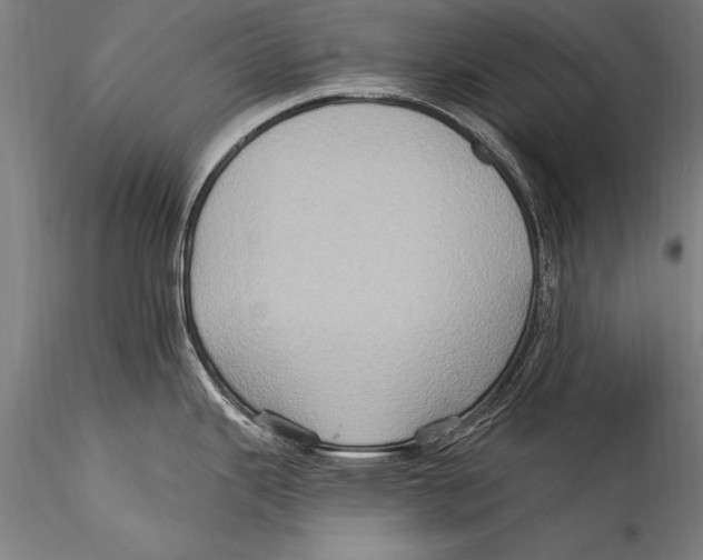 X0000115321343200911301550