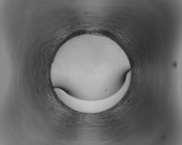 X0000115321345200911301549