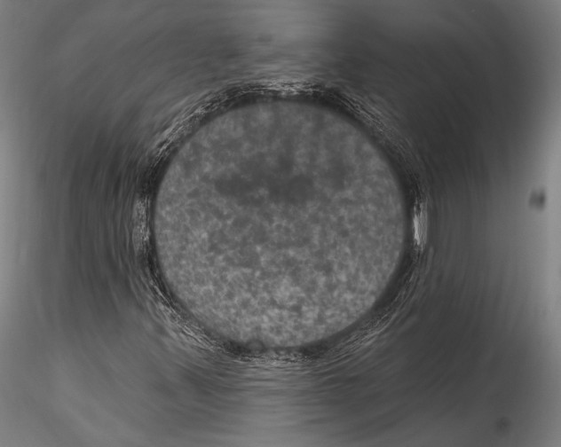 X0000115321347200911301549