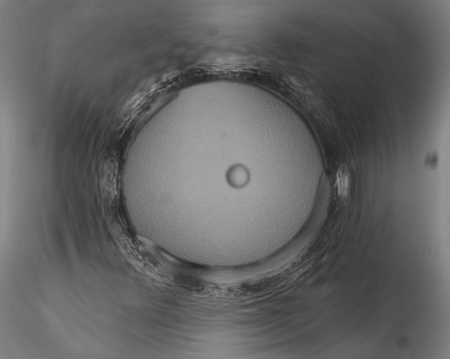 X0000115321348200911301549