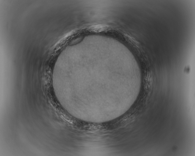 X0000115321349200911301549