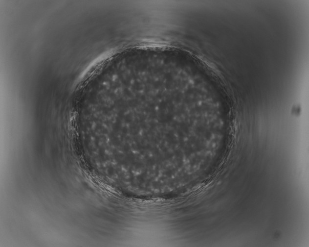 X0000115321351200911301549