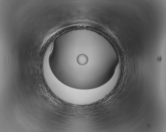 X0000115321352200911301549