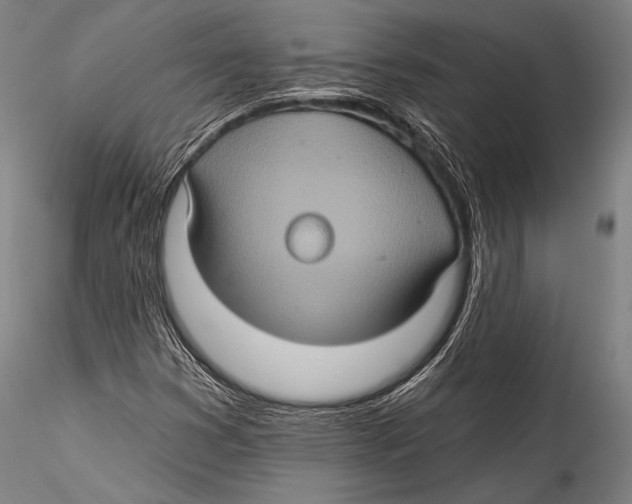 X0000115321353200911301549