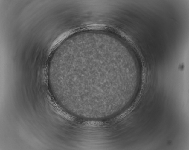 X0000115321354200911301549