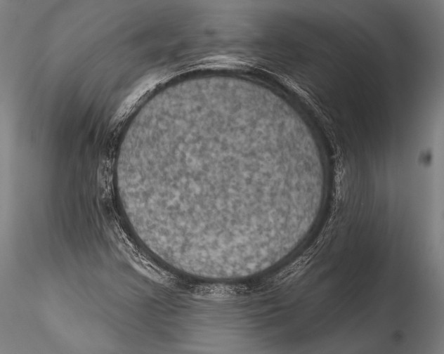 X0000115321355200911301549