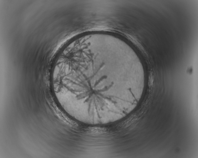 X0000115321356200911301549