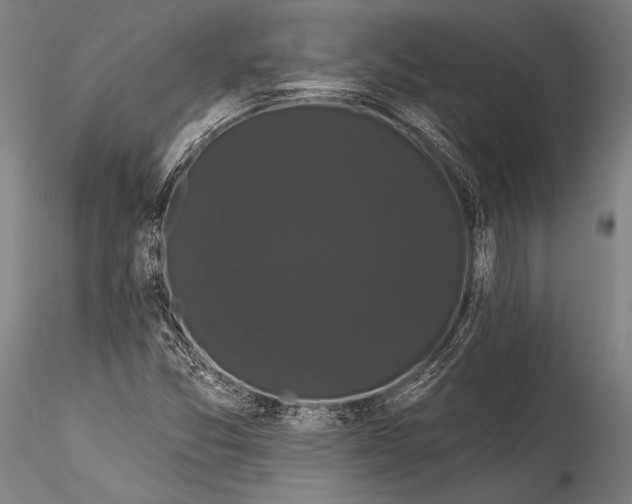 X0000115321357200911301549