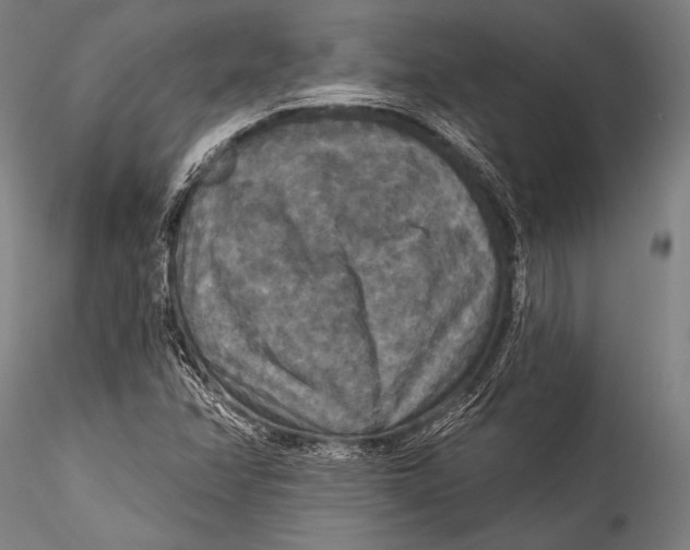 X0000115321358200911301549