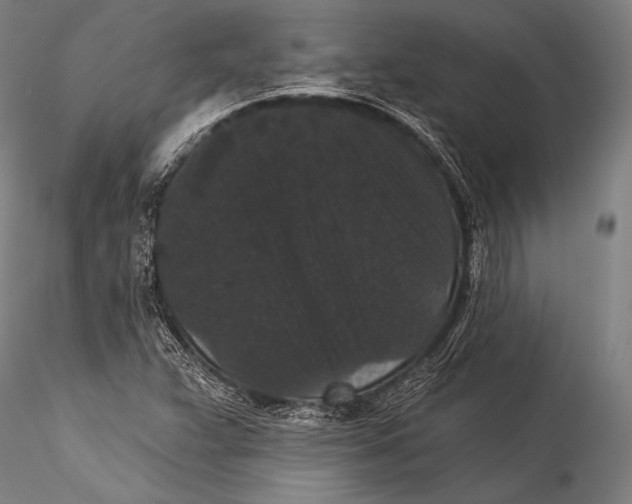 X0000115321359200911301549