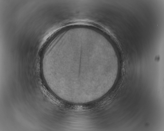 X0000115321360200911301549