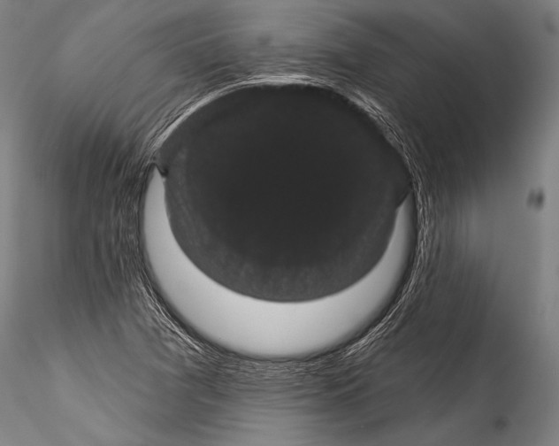 X0000115321361200911301549