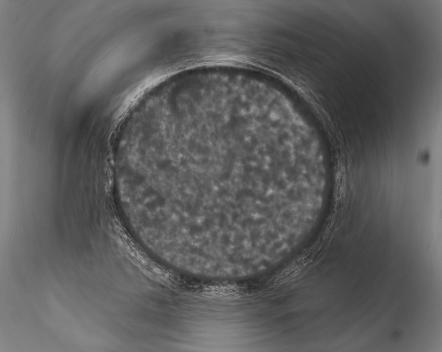 X0000115321363200911301549