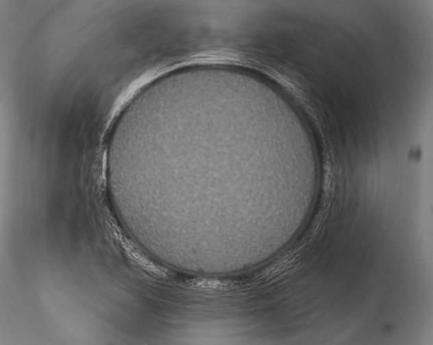 X0000115321366200911301549