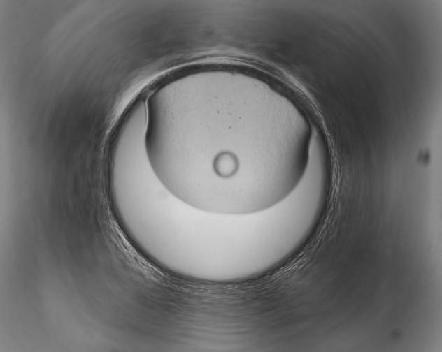 X0000115321368200911301549