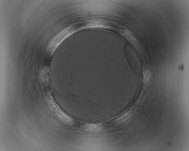 X0000115321369200911301549