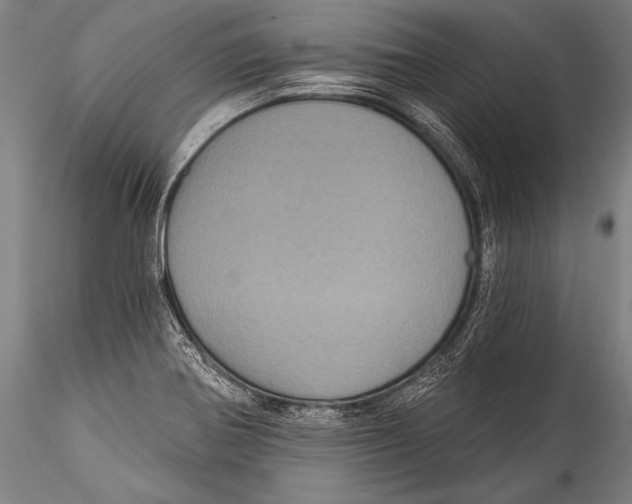 X0000115321370200911301549