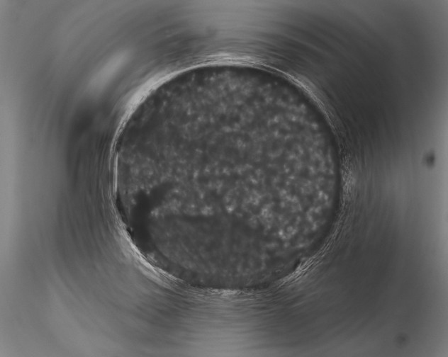 X0000115321371200911301549