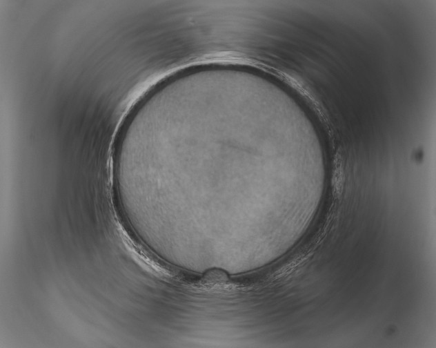 X0000115321372200911301549