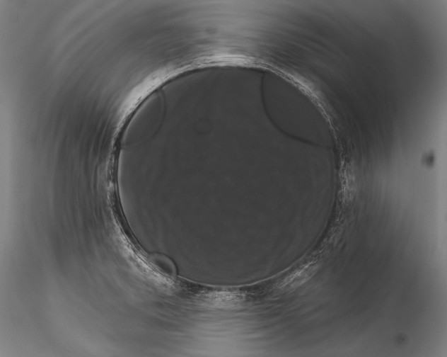 X0000115321373200911301549