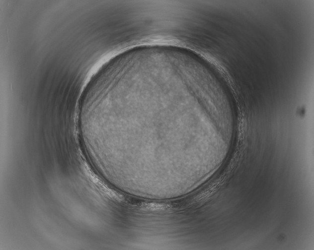 X0000115321374200911301549