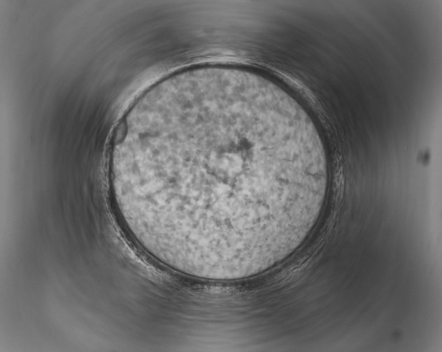 X0000115321375200911301549