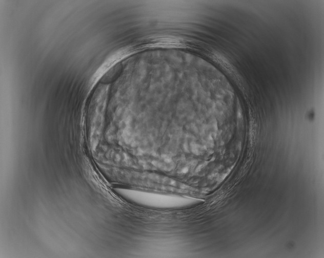 X0000115321378200911301549