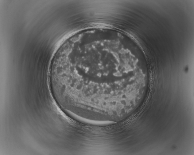 X0000115321379200911301549