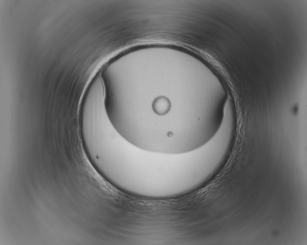 X0000115321380200911301549