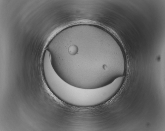 X0000115321381200911301549