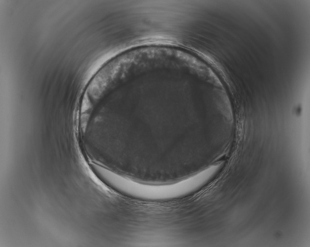 X0000115321383200911301548