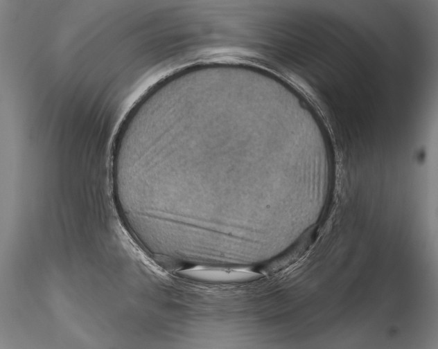 X0000115321384200911301548