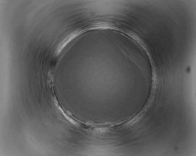 X0000115321385200911301548