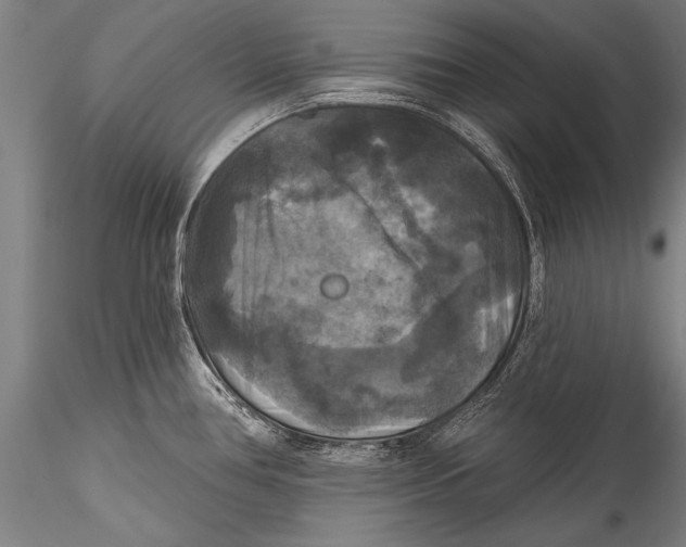 X0000115321386200911301548