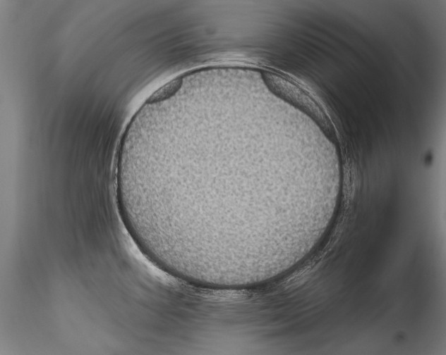 X0000115321387200911301548