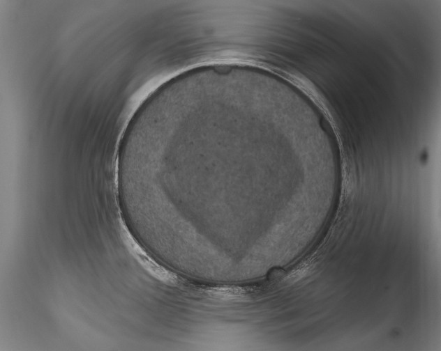 X0000115321388200911301548