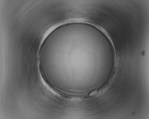 X0000115321389200911301548