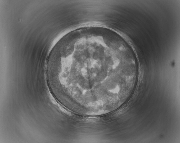 X0000115321390200911301548