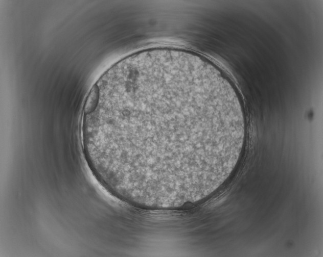 X0000115321391200911301548