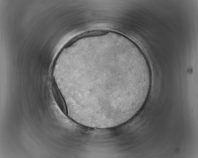 X0000115321392200911301548