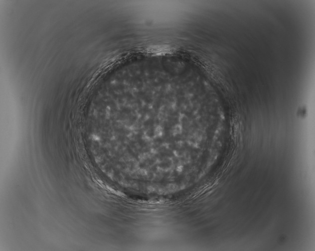 X0000115321393200911301548