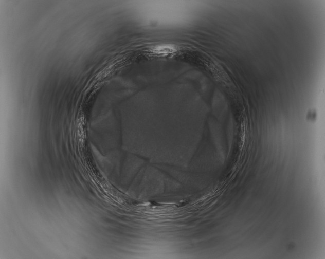 X0000115321394200911301548