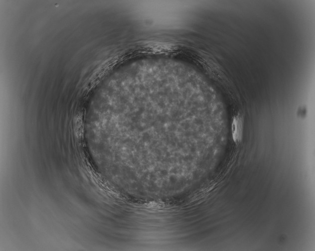 X0000115321395200911301548