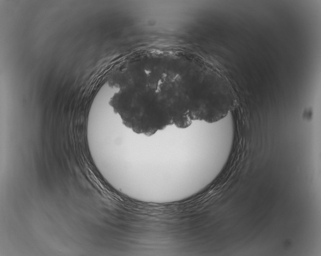 X0000115321396200911301548