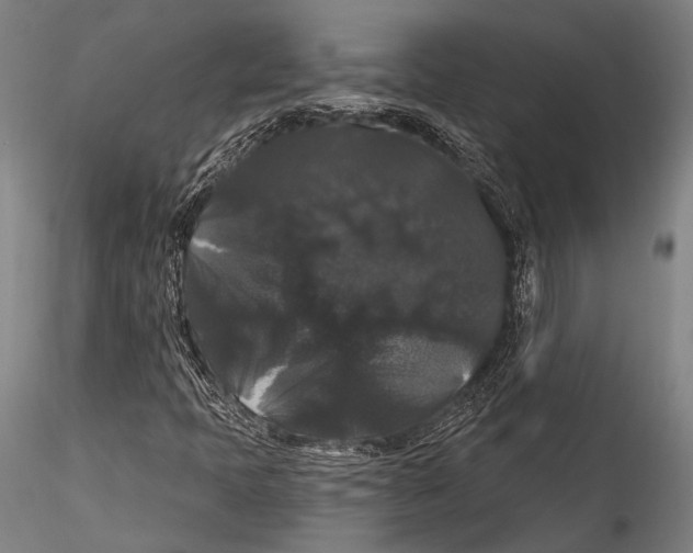 X0000115321397200911301548