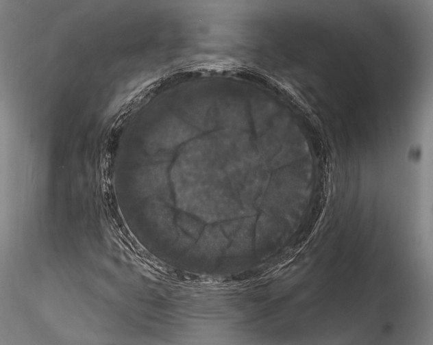 X0000115321399200911301548