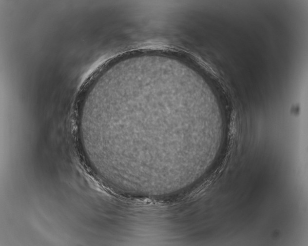 X0000115321400200911301548