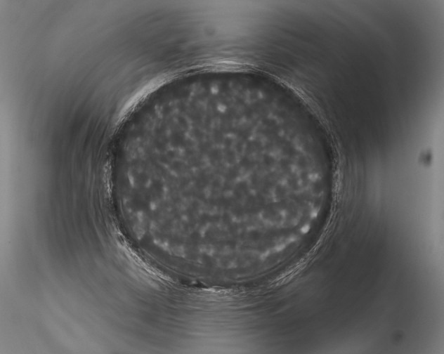 X0000115321402200911301548