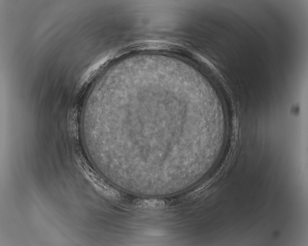 X0000115321403200911301548